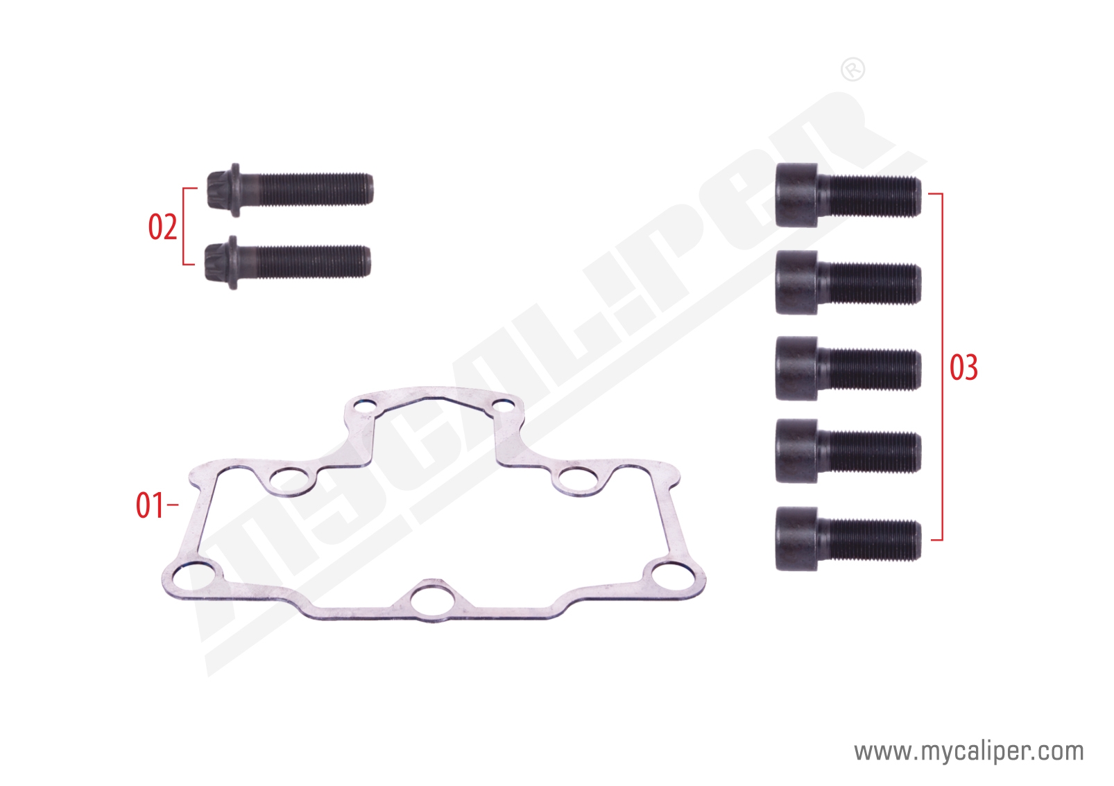 Caliper Gasket & Bolts Repair Kit