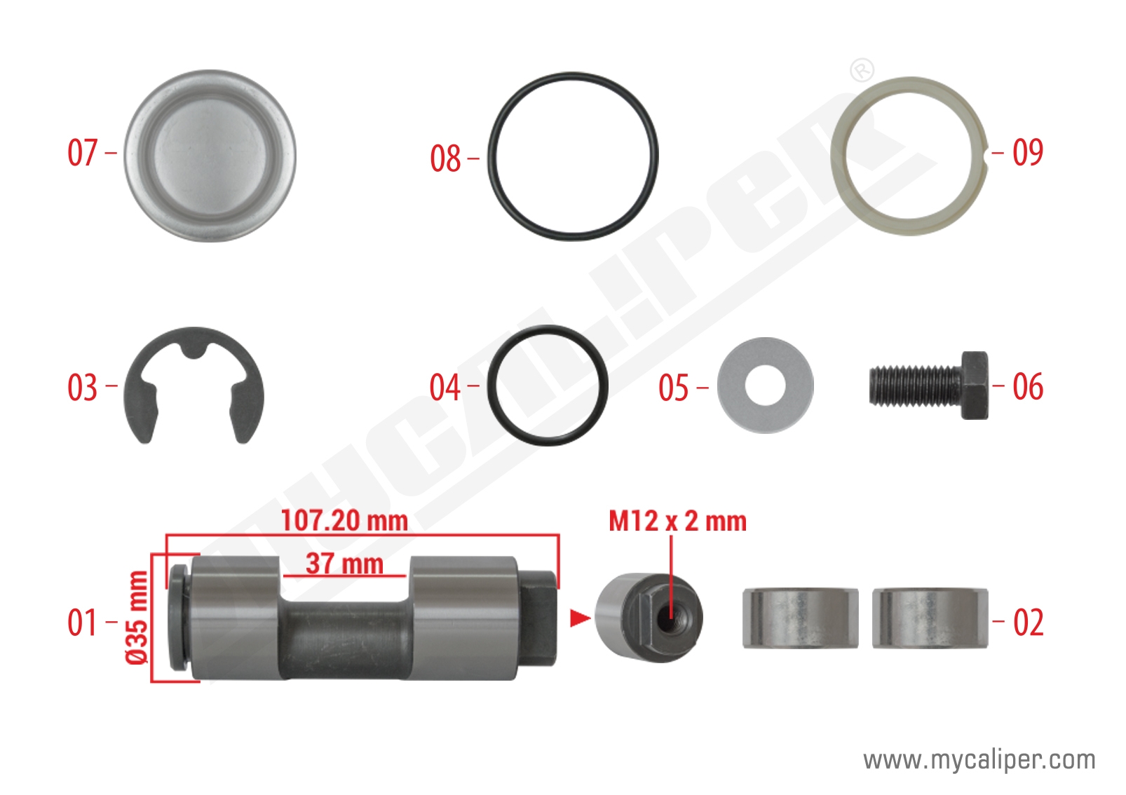 Caliper Hand Brake Repair Kit 