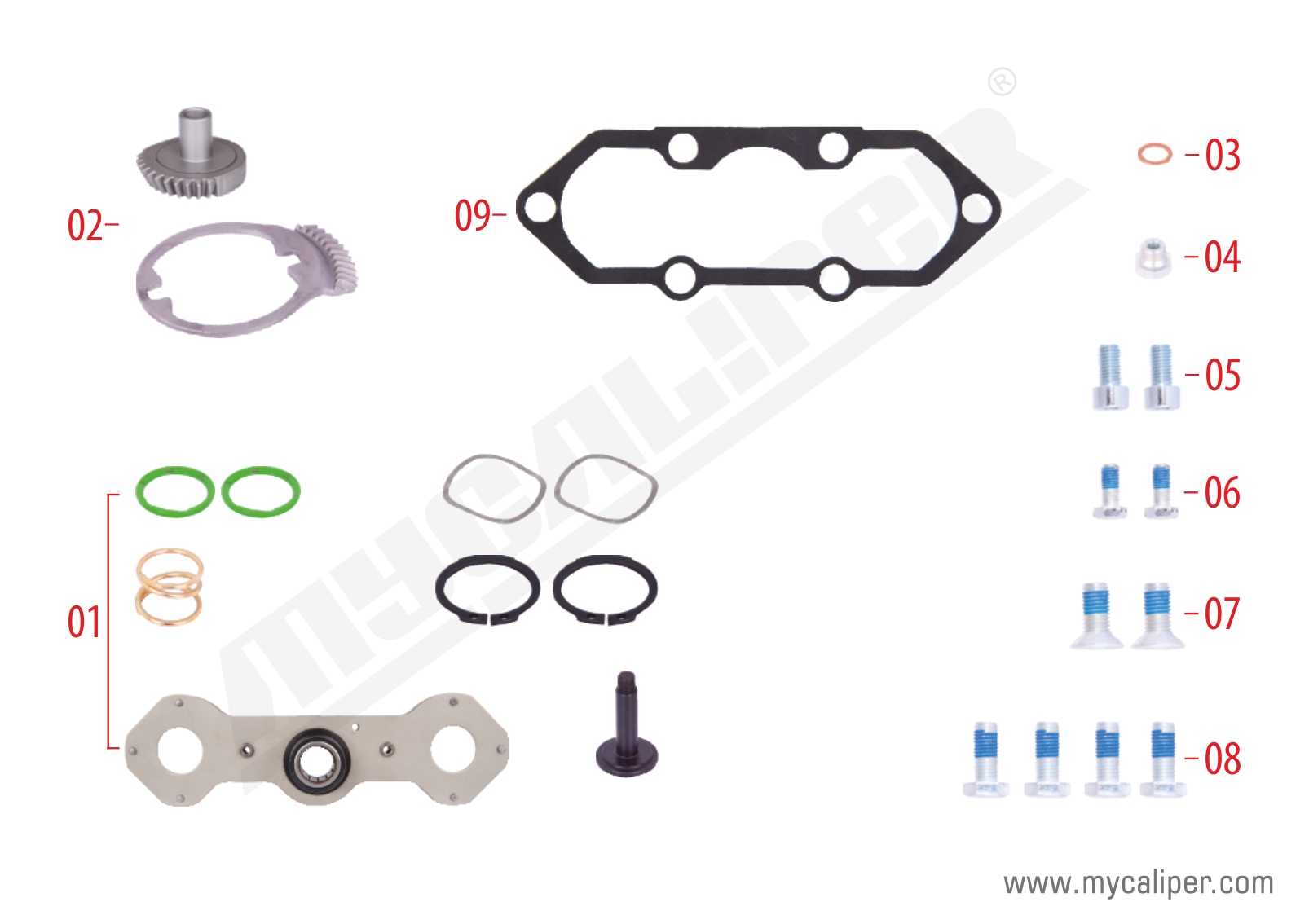 Caliper Mechanism Repair Kit (Right) 