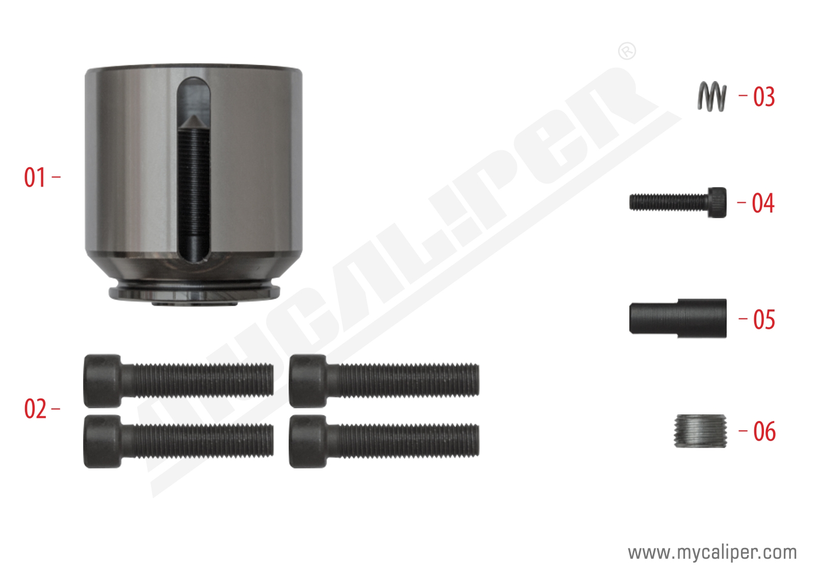 Caliper Piston Kit (Left) 