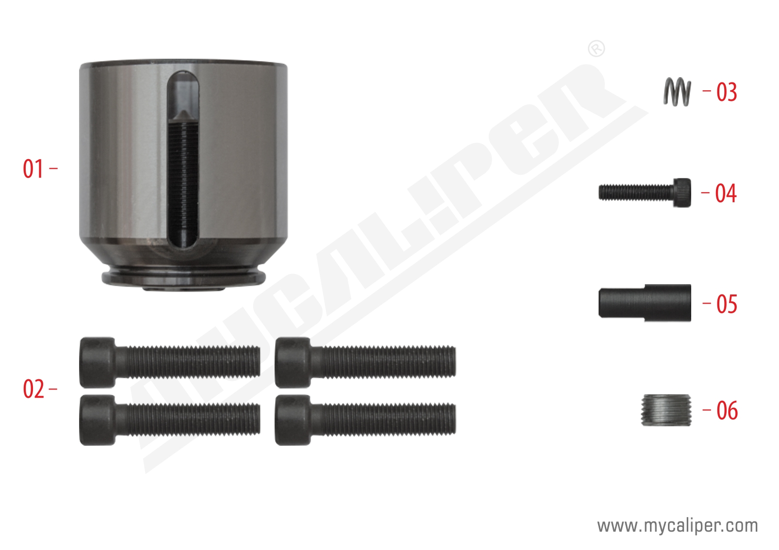 Caliper Piston Kit (Right) 