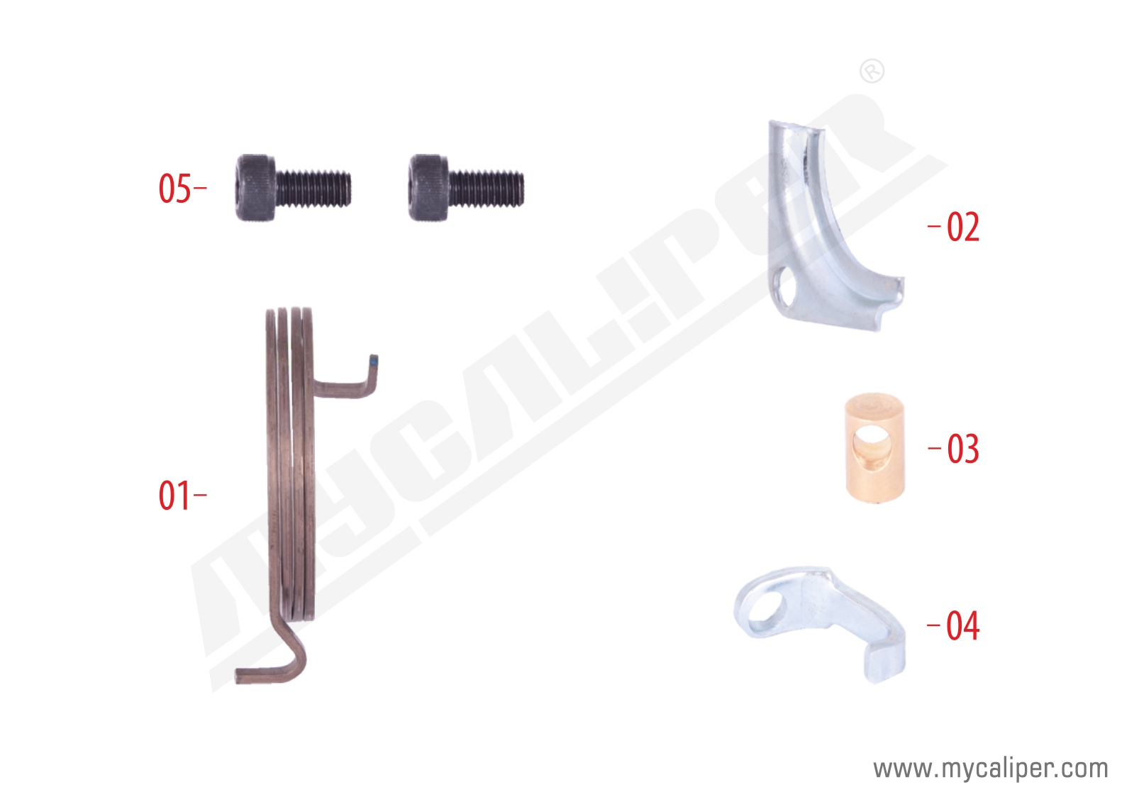 Caliper Spring & Retainers Repair Kit (Right)